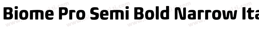Biome Pro Semi Bold Narrow Itali字体转换